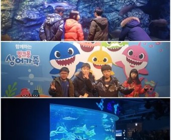 2월 성장디딤돌학교 실시