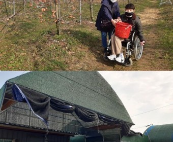발달장애인주간활동센터 문경 사과체험 및 트레킹