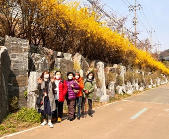 서로돌봄 4월 홍제천 꽃놀이 다녀왔습니다.