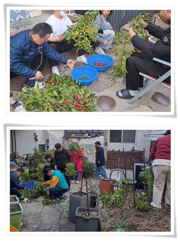 1764570372.02QxouXGGcWj 1.jpg