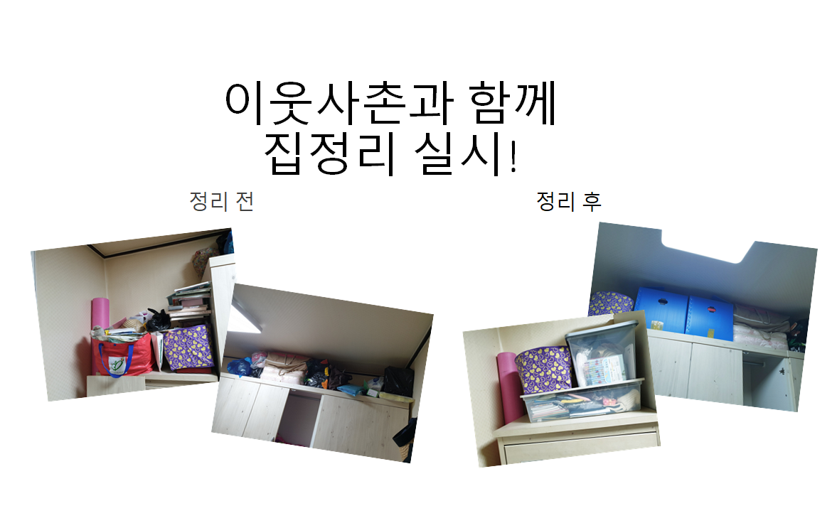 기혼지적 여성장애인의 자연적 관계망 구축을 위한 