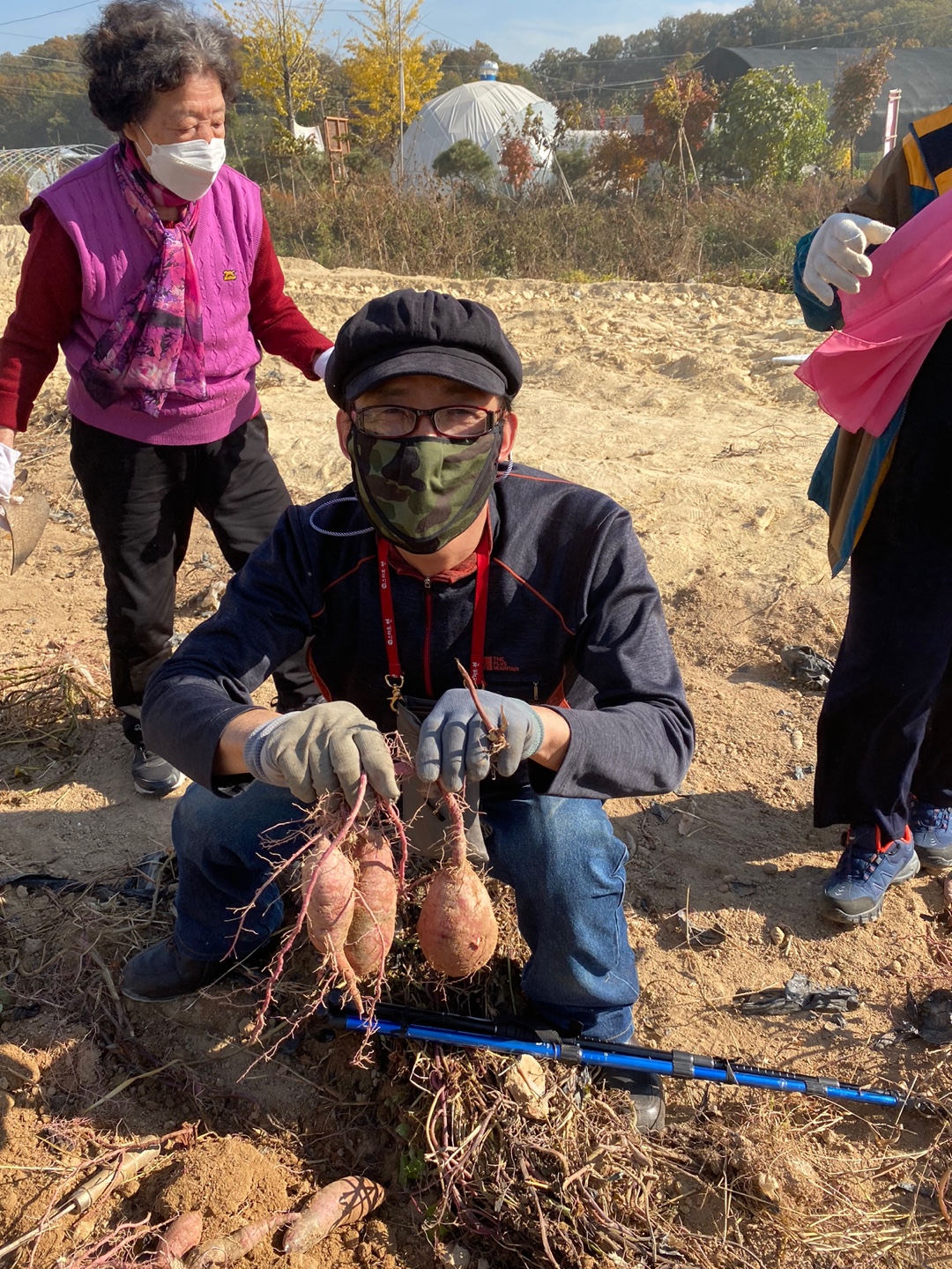 2020년 좋은 친구와 거리두기를 실천하며 함께하는 성인장애인 고구마 체험 나들이 실시. 2020년 좋은 친구와 거리두기를 실천하며 함께하는 성인장애인 고구마 체험 나들이 실시.
