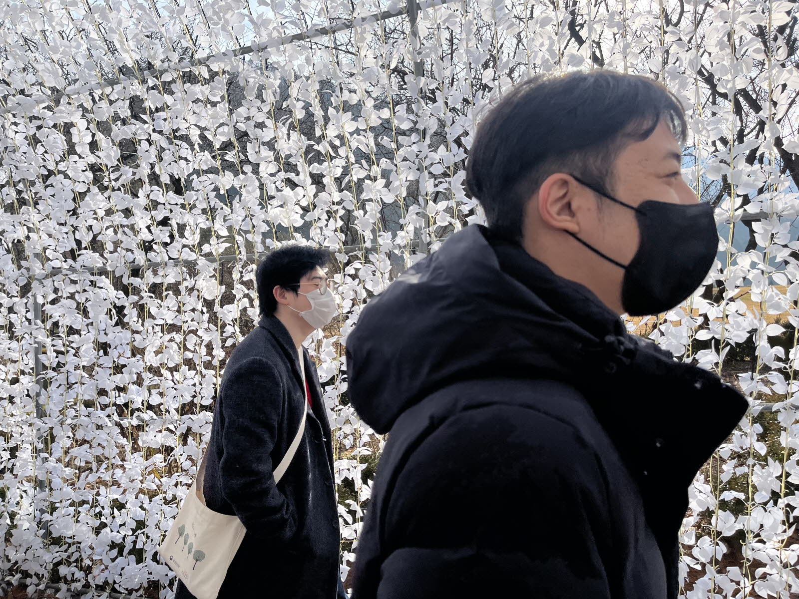 12/10 토요자유여행 12/10 토요자유여행